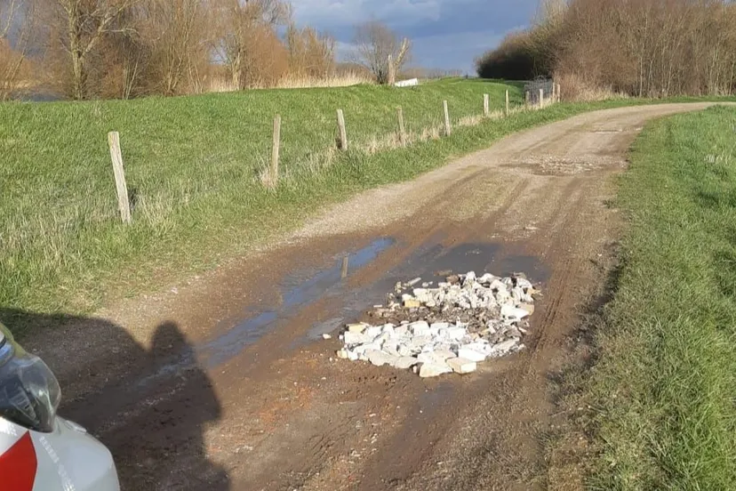 163071137 797289557540316 697106209941975109 o