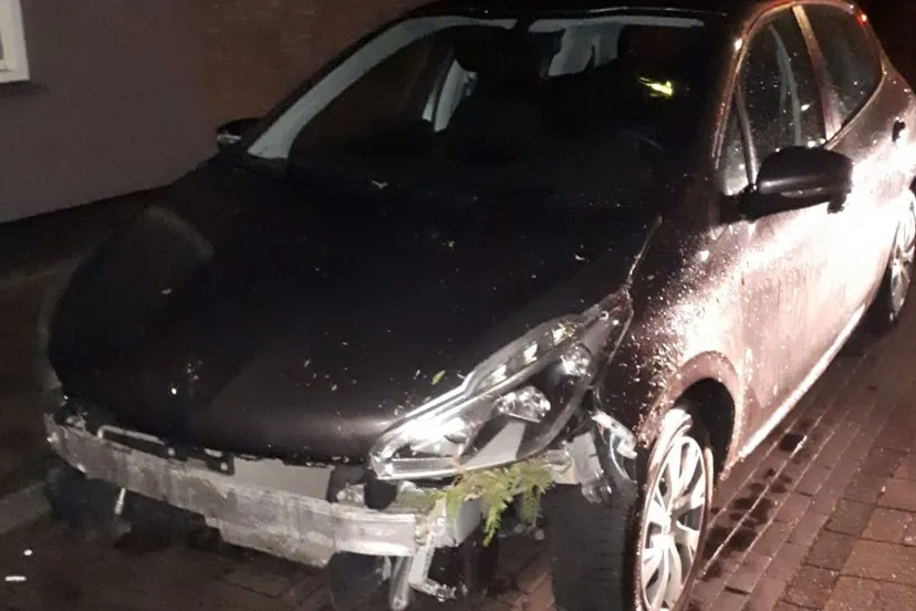 163268925 797843834151555 2725775520320324155 o