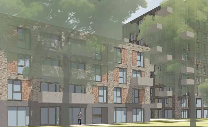 168088865 4135208866545167 719434478613145511 n