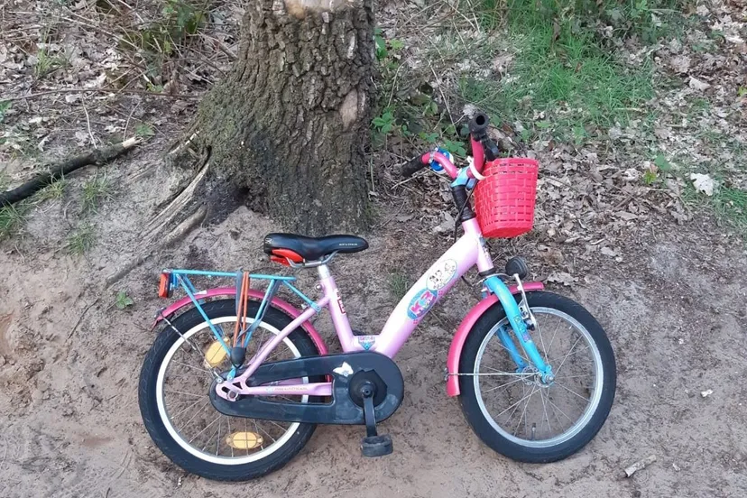 175807362 813404229262182 4102250000236491742 n