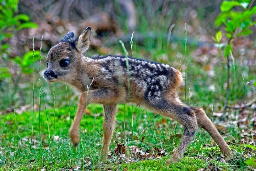 179153169 4706370046062280 2054408330417959339 n