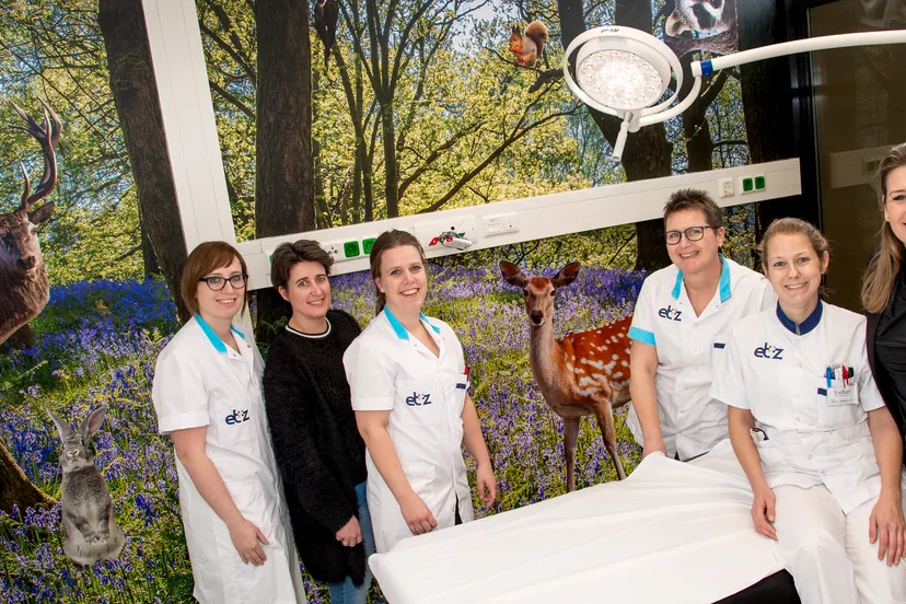 190314 fast track seh etz elisabeth 1040