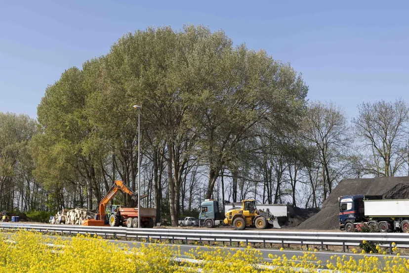 19042020 waspik 047 pano lr