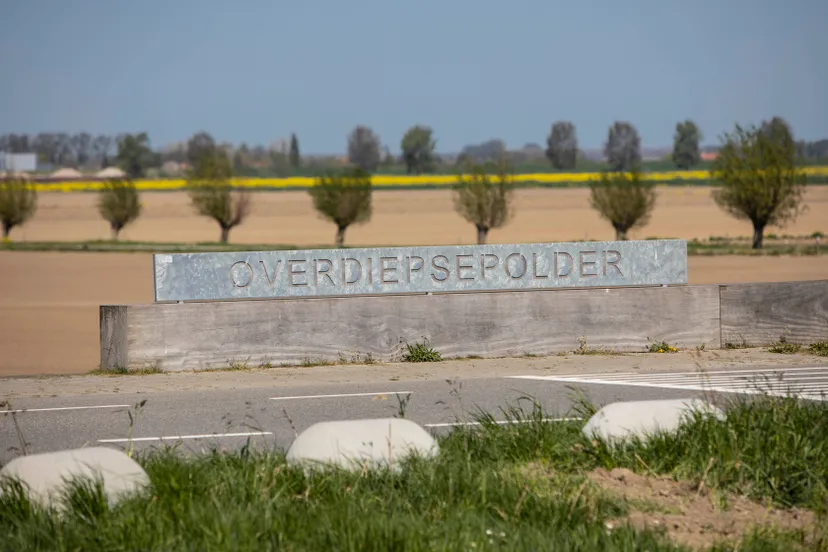 19042020 waspik 074 lr