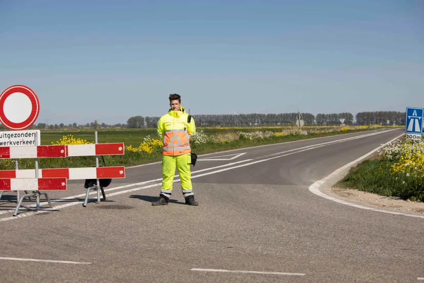 19042020 waspik 192 lr