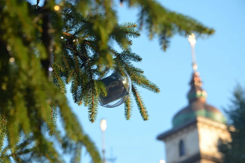 1920 eftelingwensboom