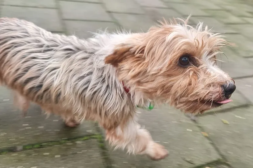 1fb8d70c a22e 4f1b bccd 2dc23011ed14