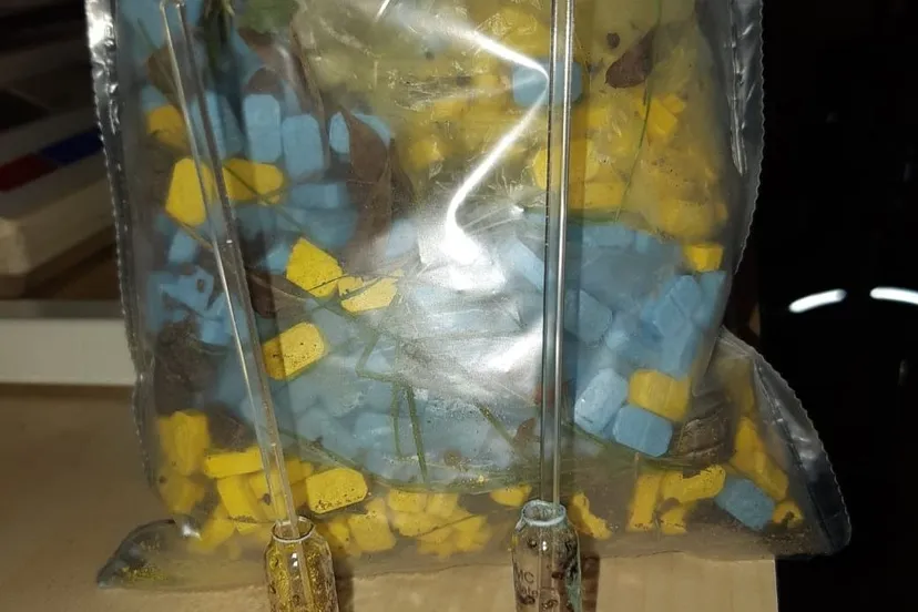 200724057 153086370185924 3601682893937740187 n