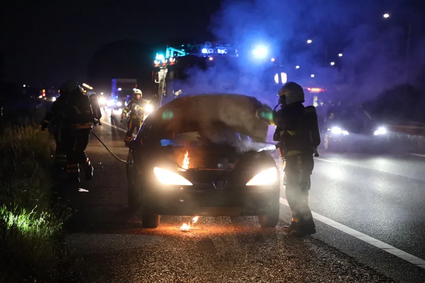 20190826212746 fpmb0462