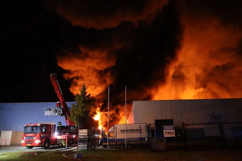 20190920033942 fpmb0895