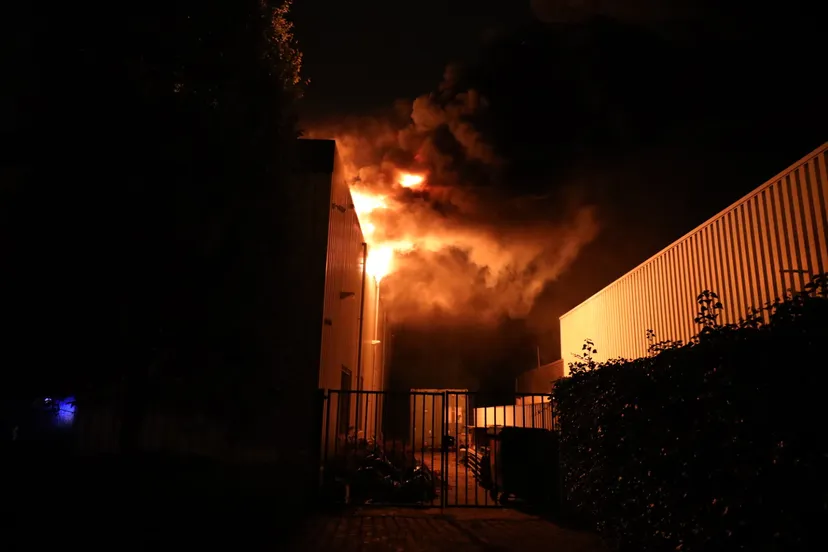 20191007011851 fpmb1186