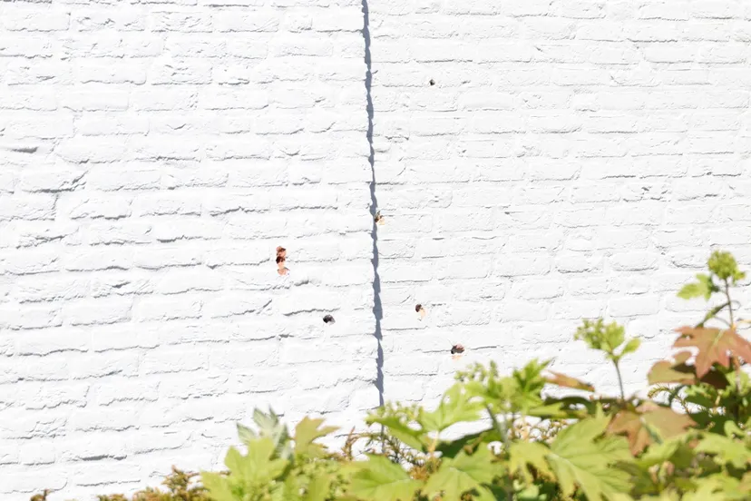 20200518113749 img 1304 picsay