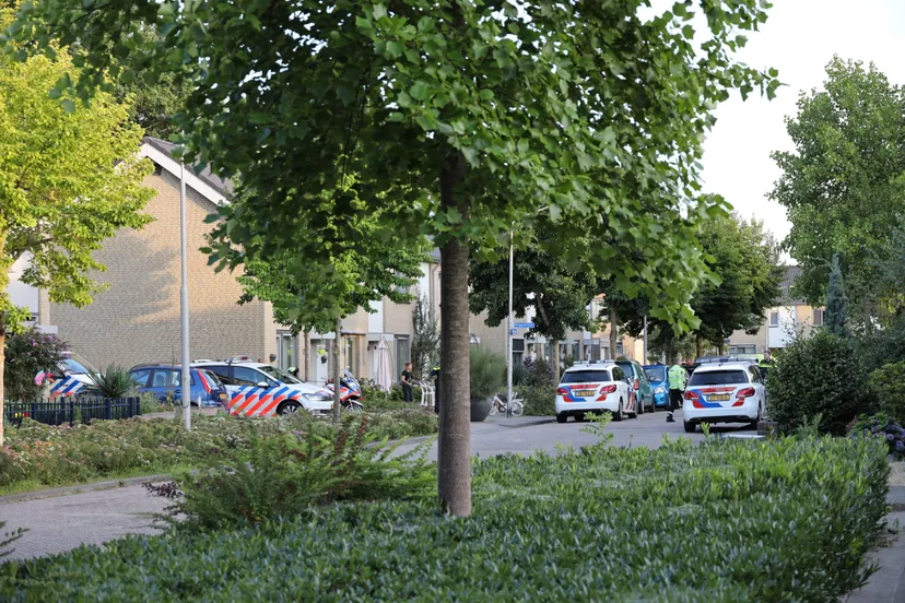 20200726203740 fpmb6413