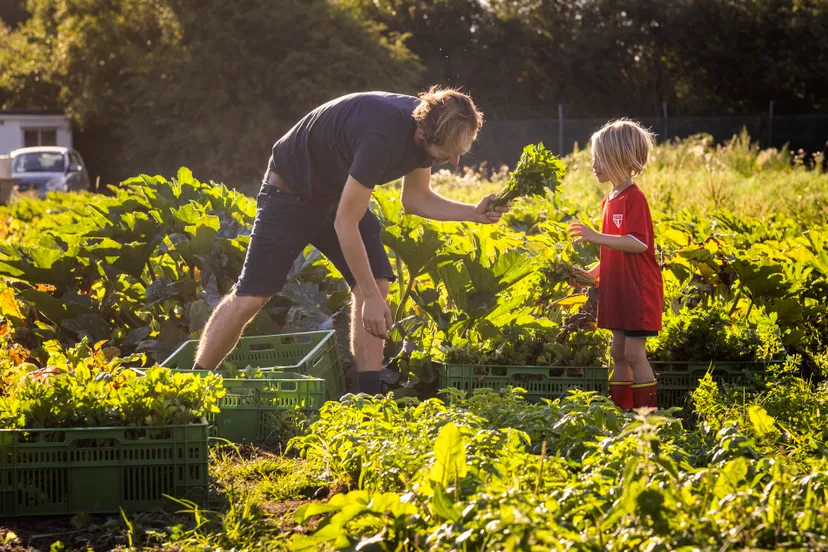2022 heemstede markvstokkom 34