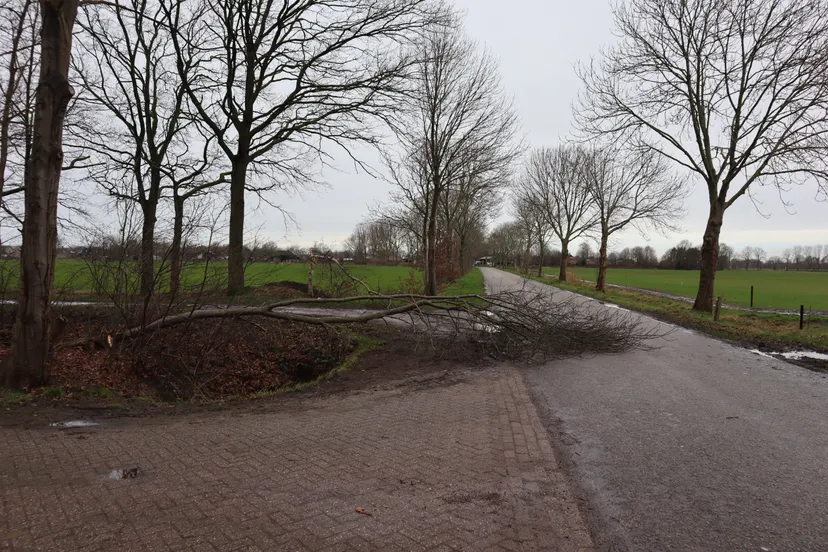 20220218152806 img 8722