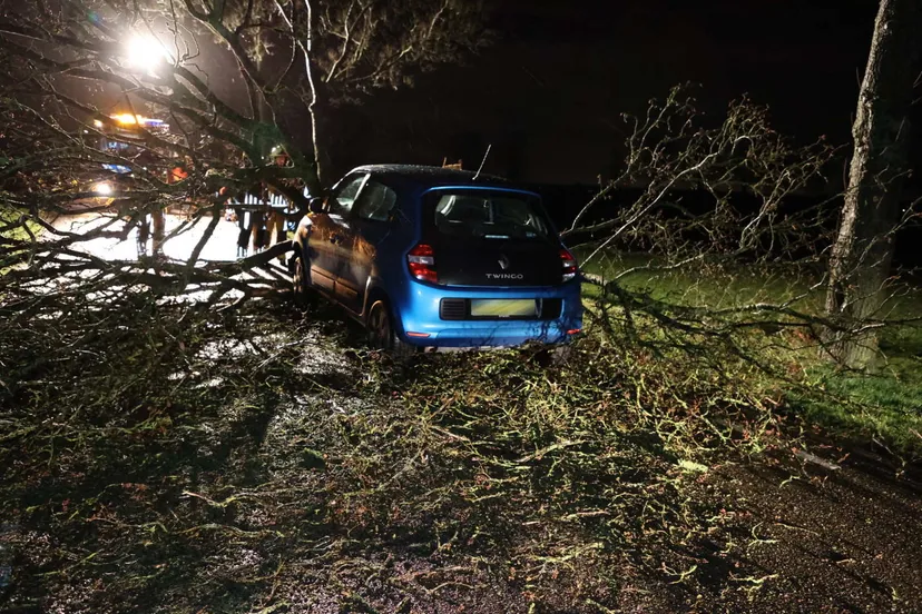 20220220232902 fpmb1253