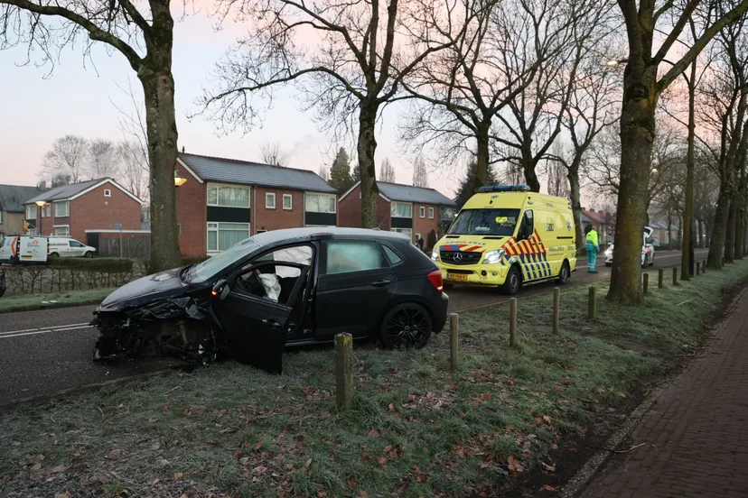 20220226073124 fpmb1294