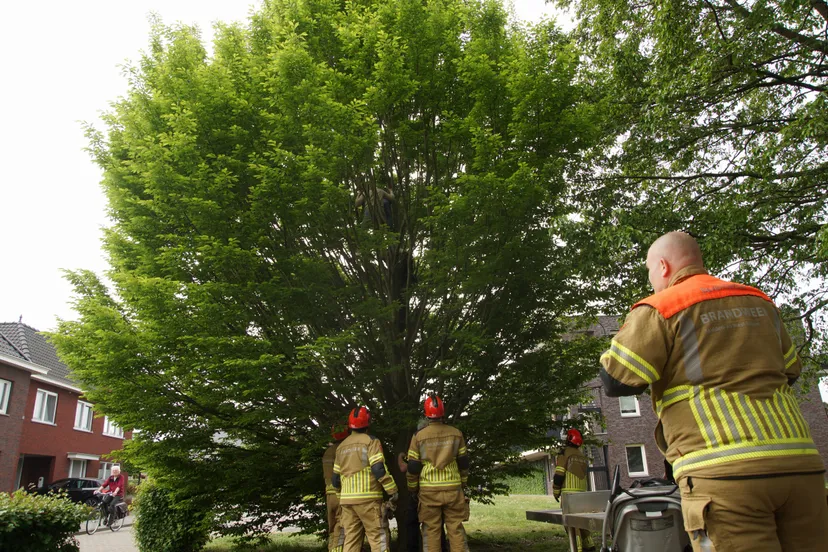 20220505124937 dsc09997