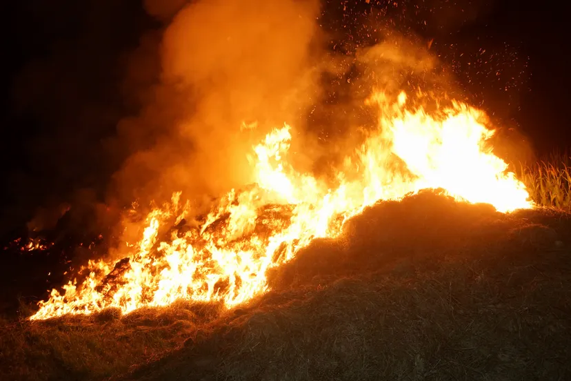 20220903202125 dsc04582