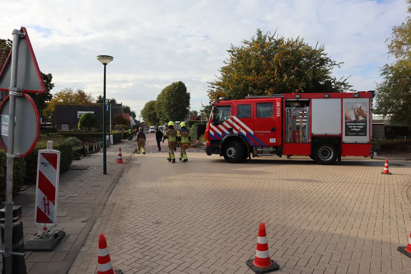 20221012165431 img 5784