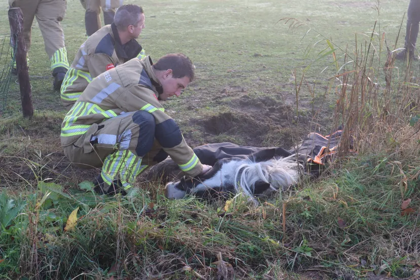 20221018092920 img 6203