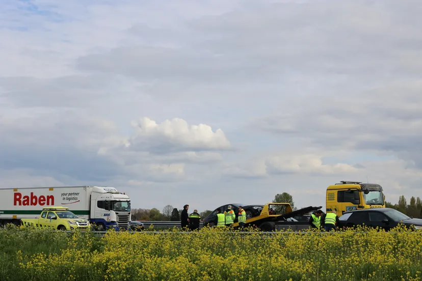 20230426173843 fpmb9489