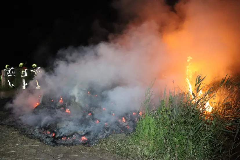 20230609003040 img 8090