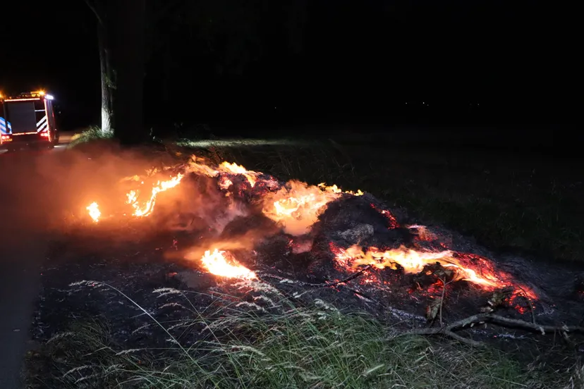 20230610013937 img 8186