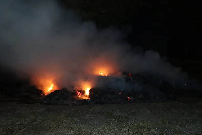 20230611040914 img 8312