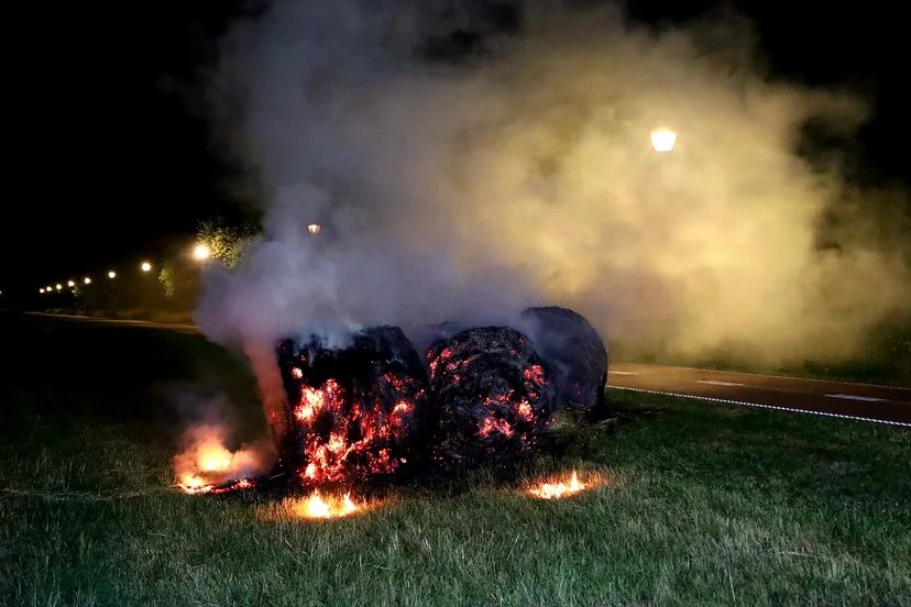 20230701023842 img 9580