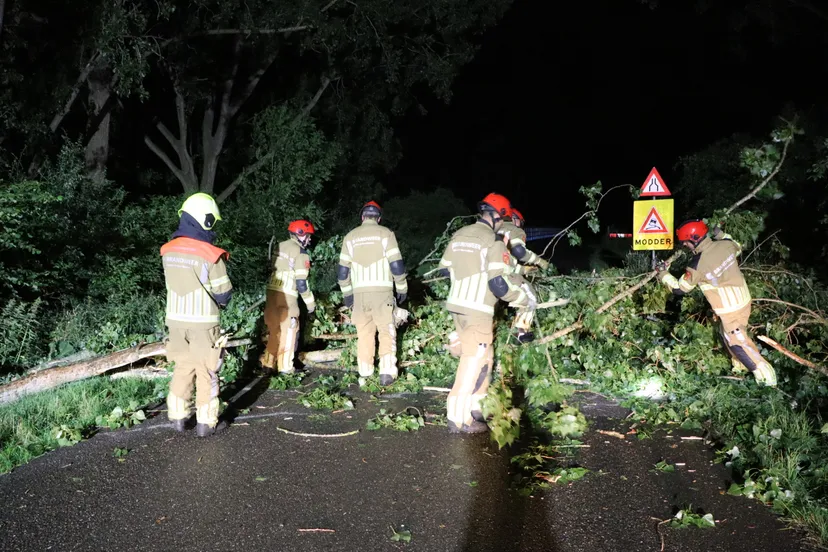 20230704020336 img 0019