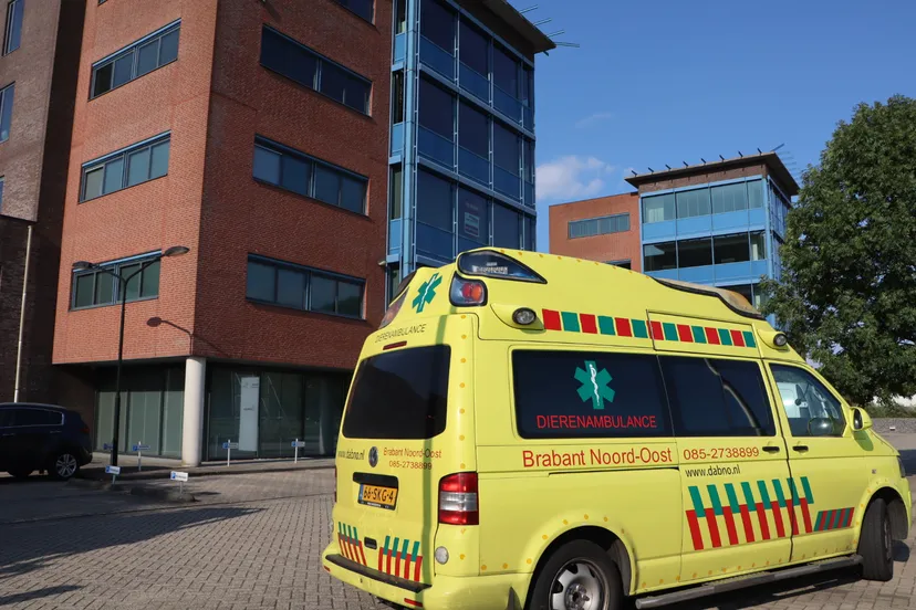 20230815182614 img 2432