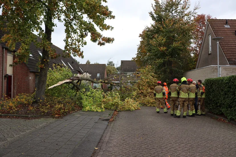 20231102130928 img 6973