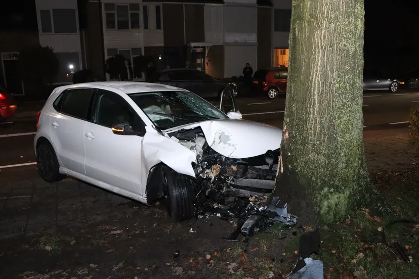 20231130224049 img 8852