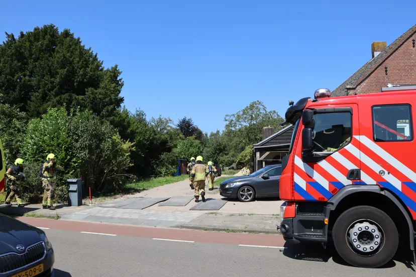 20240729143108 img 9037