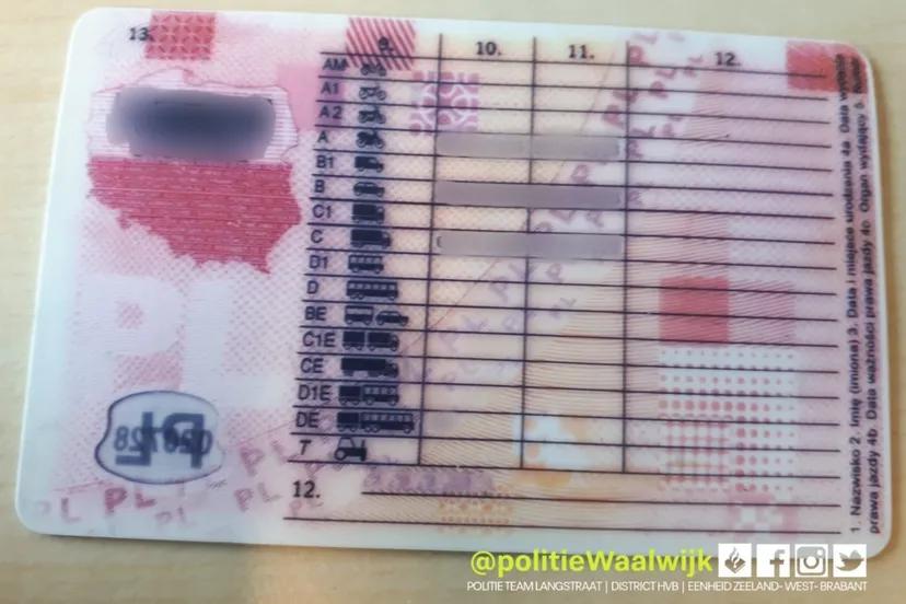 209121155 165533512274543 5939194145000810287 n