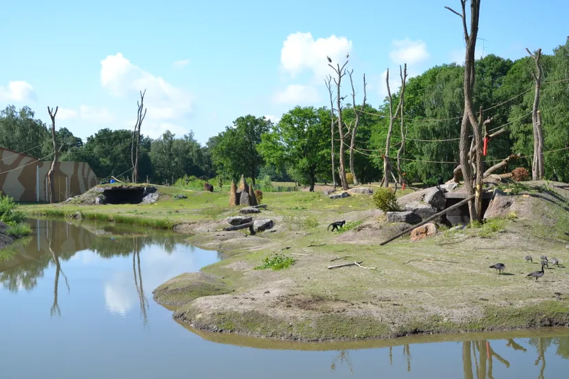 2154 2355af32b01fb39e1f42f12431f6e47c