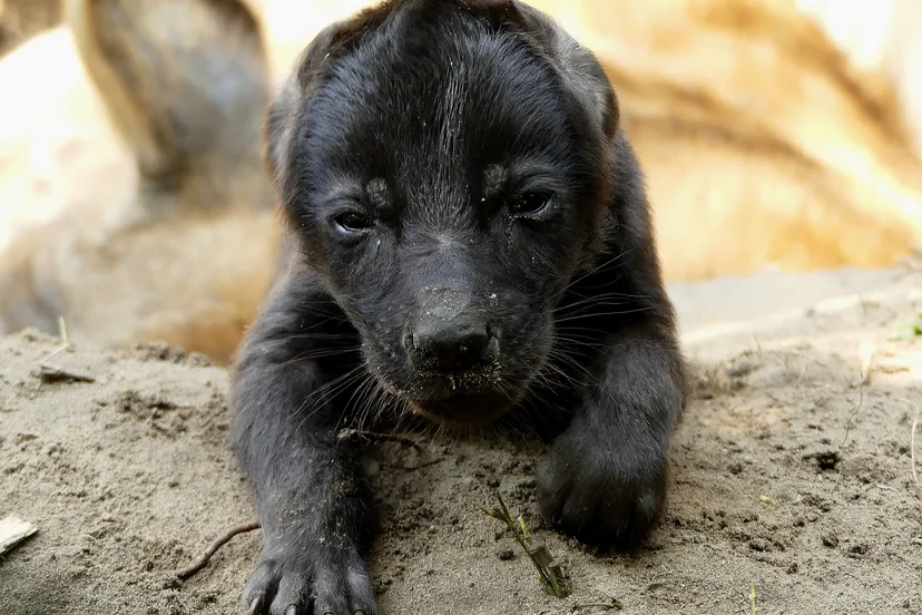 2154 7ac105e92a22acca9bfe916df415b395