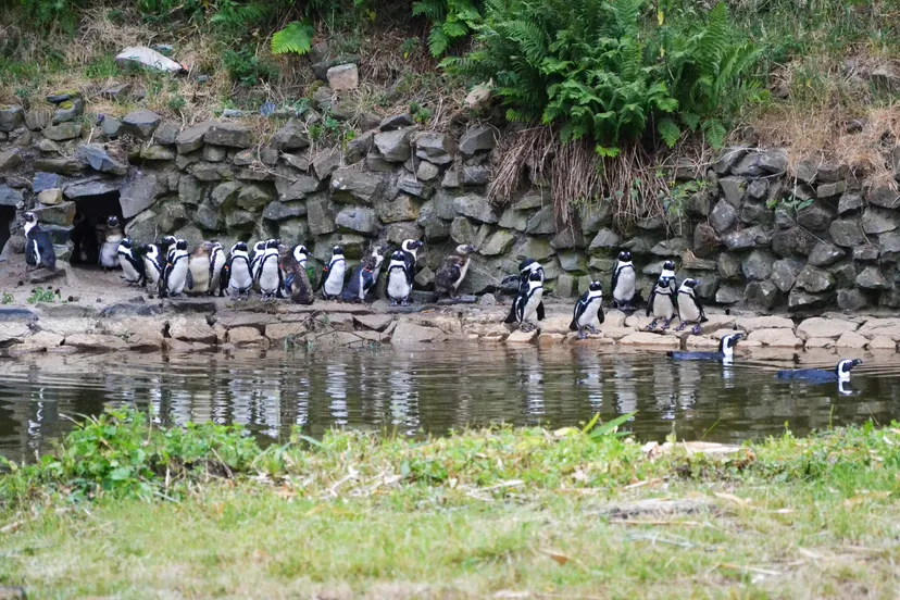 2154 b03870565949648080055ddd31a683d0