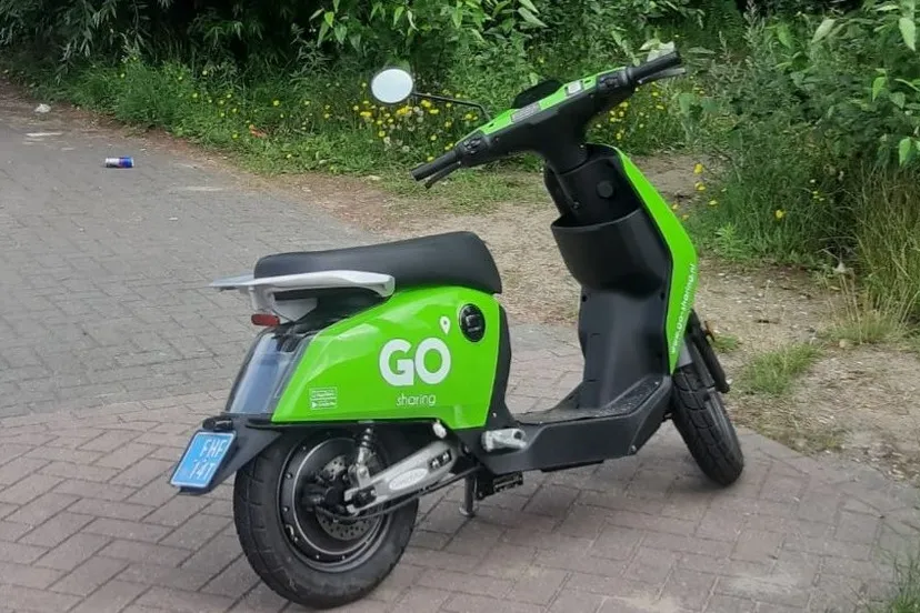 217412286 172127698281791 6220113818648893148 n