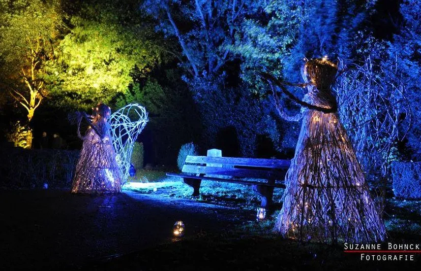 22491593 134763100507176 1329850390735984858 n