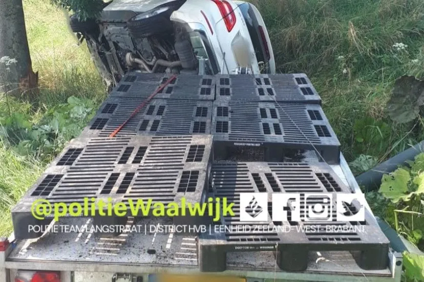 231020442 187480600079834 3745136602277149910 n