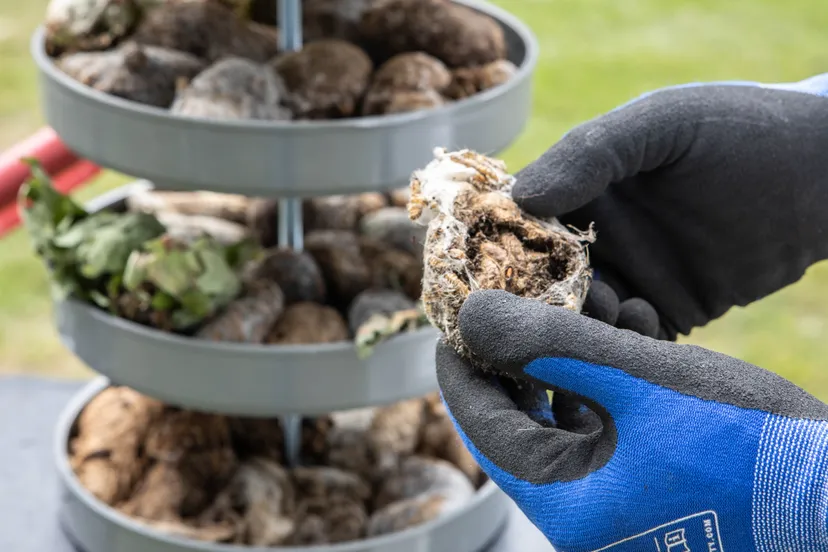 24072020 storix 0101