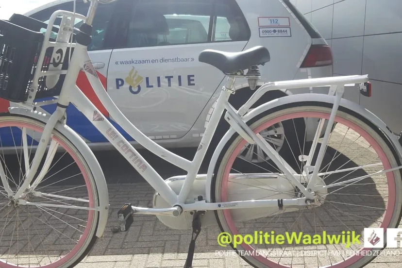 241976304 215486333945927 3477543459477719008 n