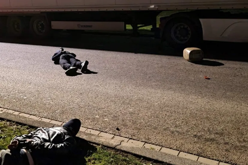 258851700 256230256538201 6887445872126939474 n