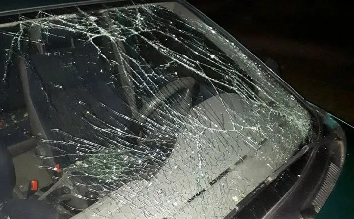 26239841 1929463034036571 8674059509210294346 n