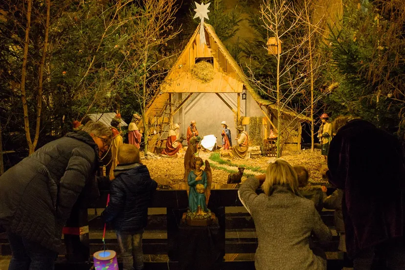 266010725 2514860211991846 1919792925977781680 n