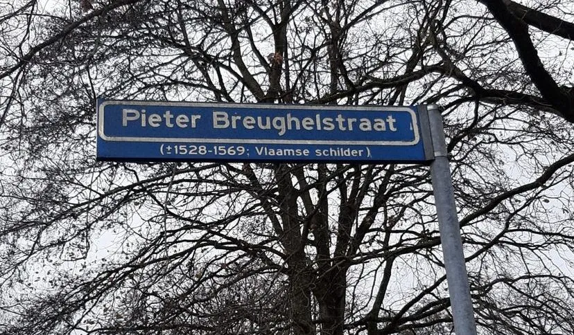 266020848 269550188539541 5462503057840720181 n