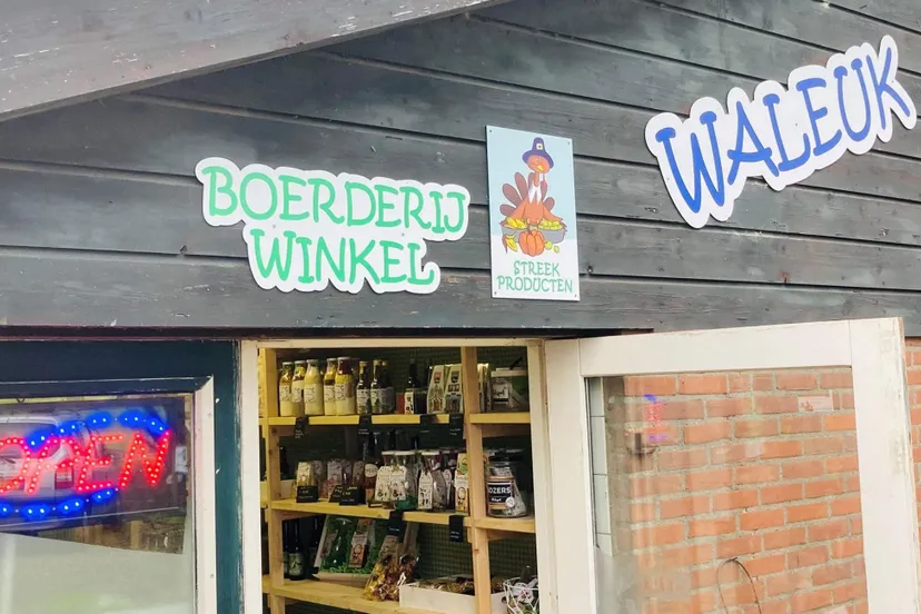 266335796 5410096349019225 3260323523073822656 n