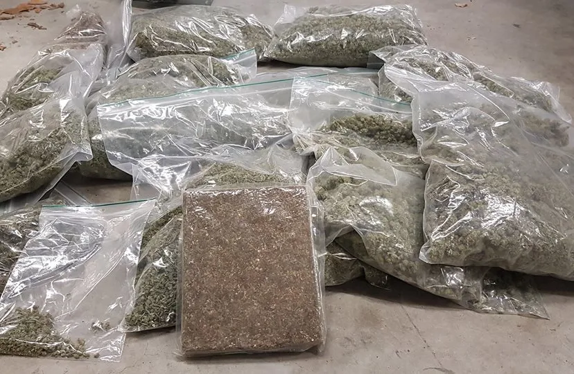 26907536 1934797776836430 2221104544499032585 n